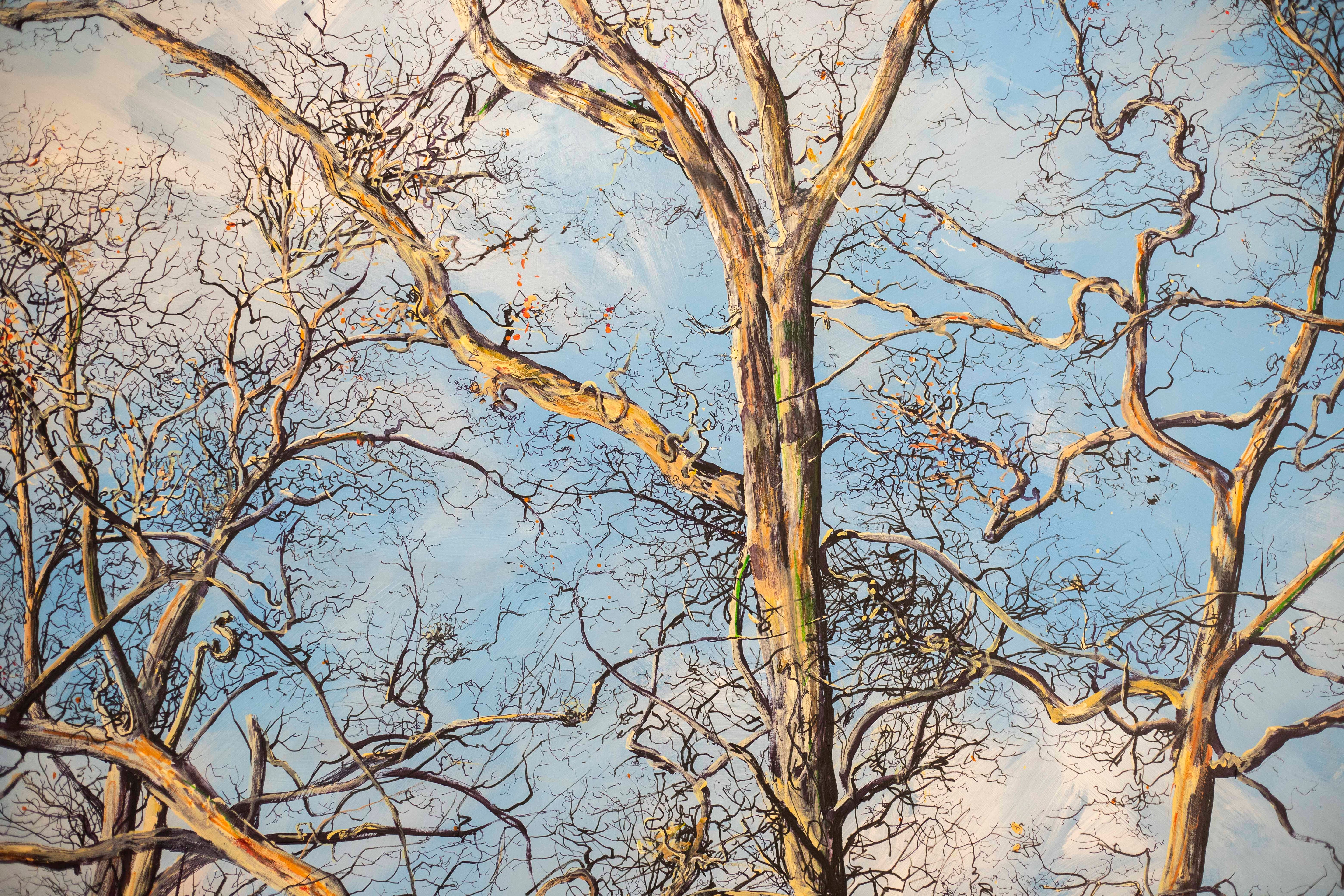 Through the Trees III