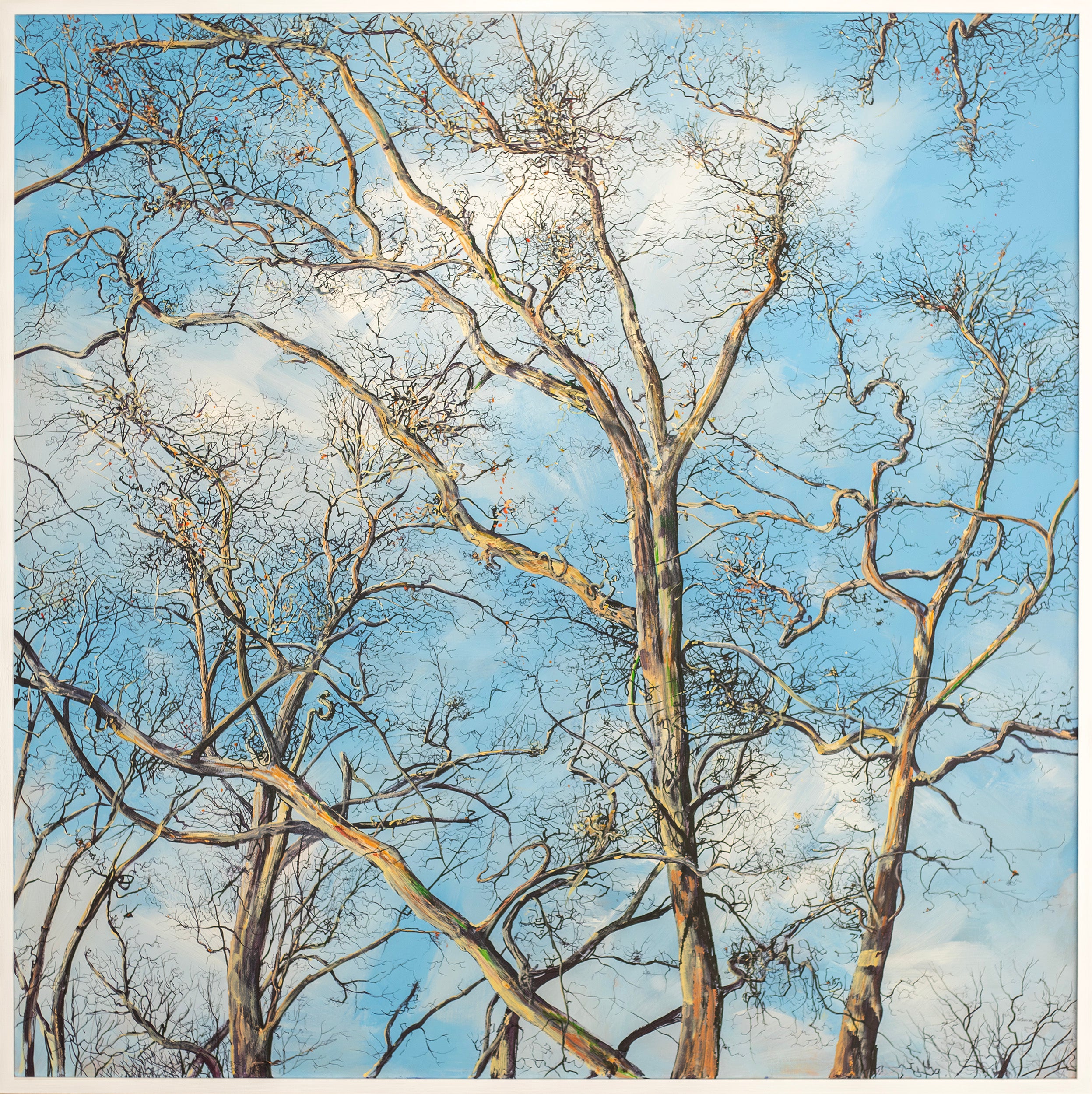 Through the Trees III