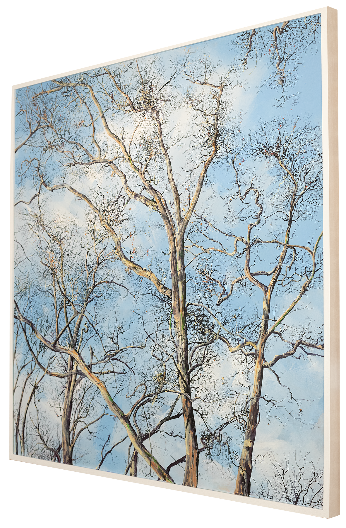 Through the Trees III