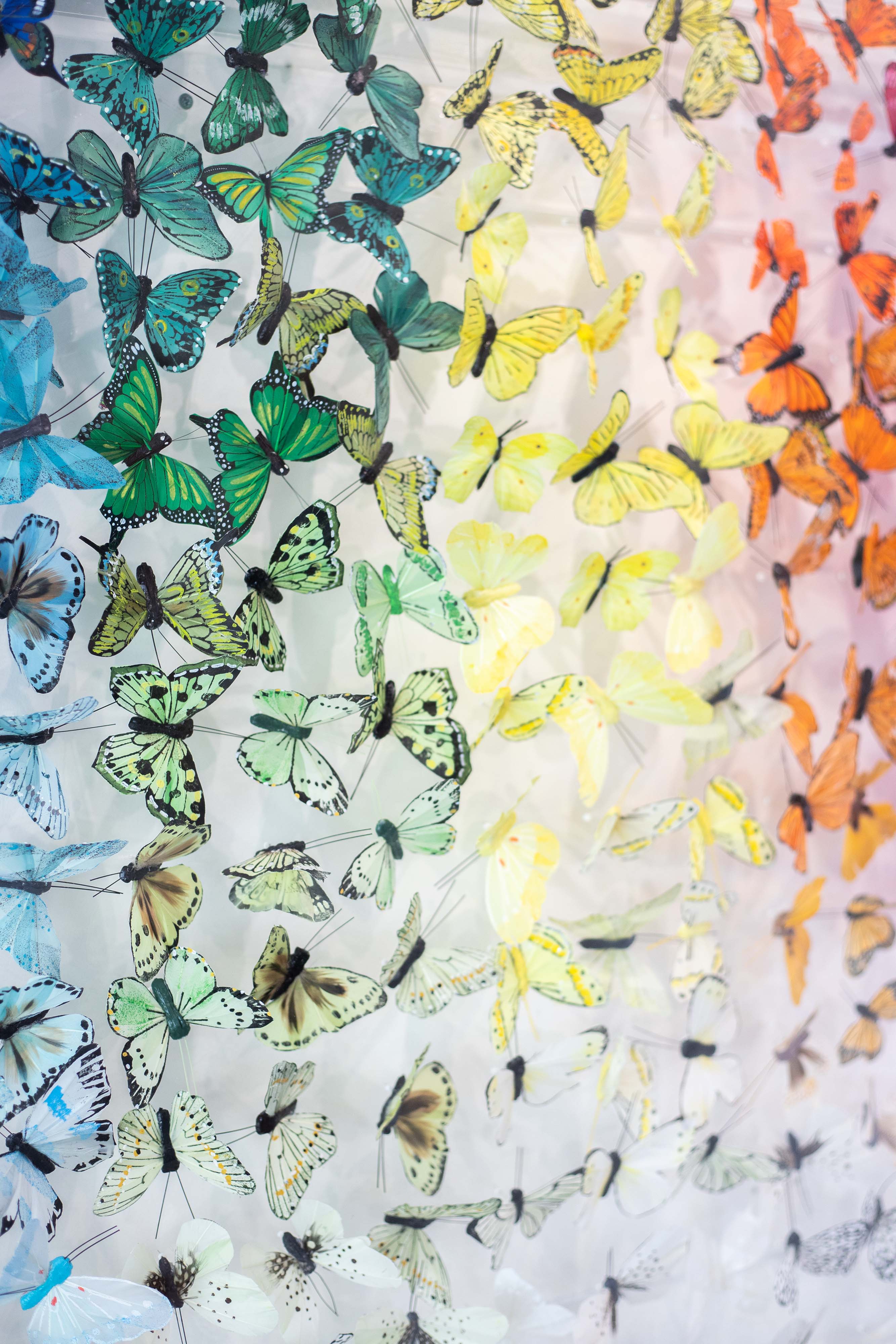 Artist Michael Olsen stands in front of his three-dimensional butterfly artwork in a contemporary gallery setting.
