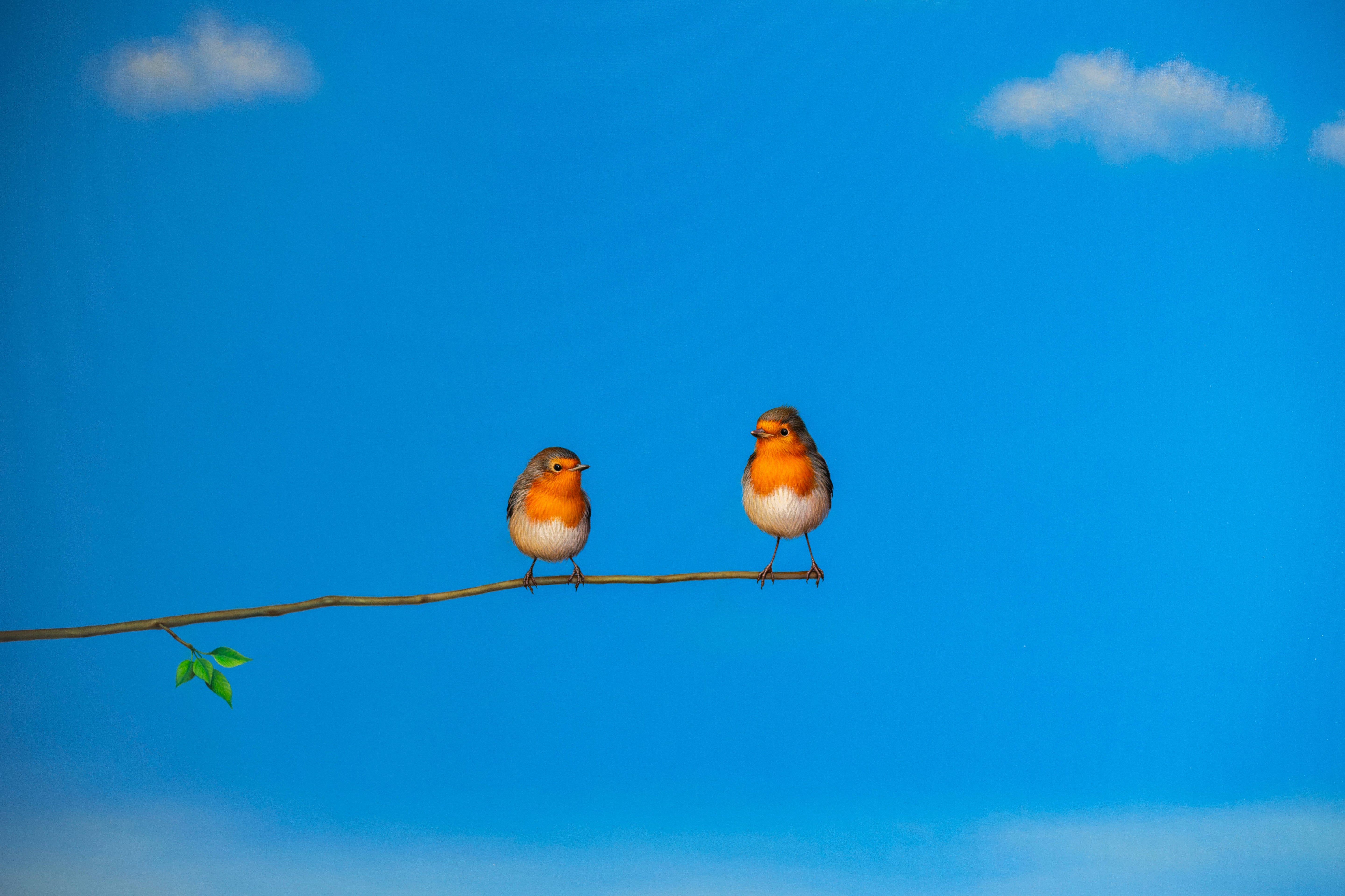 Surreal painting by Lilia Mazurkevich featuring birds perched on a thin branch against a bright blue sky, capturing her whimsical and thought-provoking style.